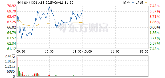 专业配资炒股网 稀土永磁板块走高 中科磁业涨停
