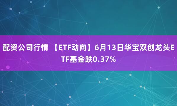 配资公司行情 【ETF动向】6月13日华宝双创龙头ETF基金跌0.37%