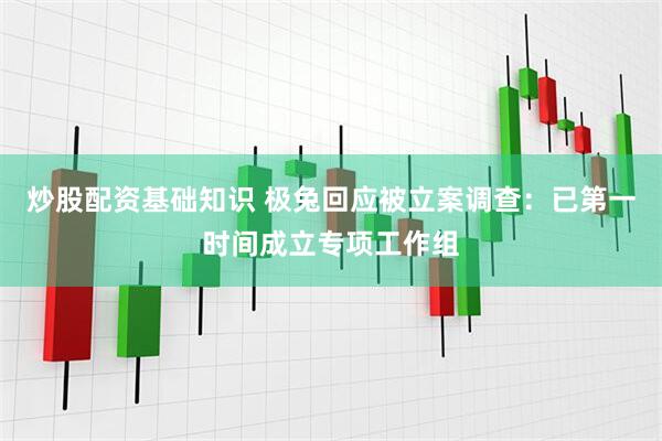 炒股配资基础知识 极兔回应被立案调查:已第一时间成立专项工作组