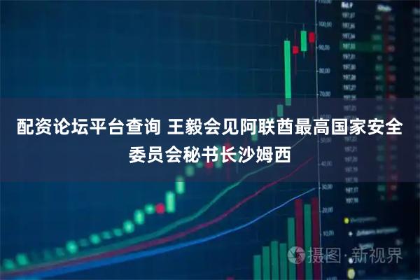 配资论坛平台查询 王毅会见阿联酋最高国家安全委员会秘书长沙姆西